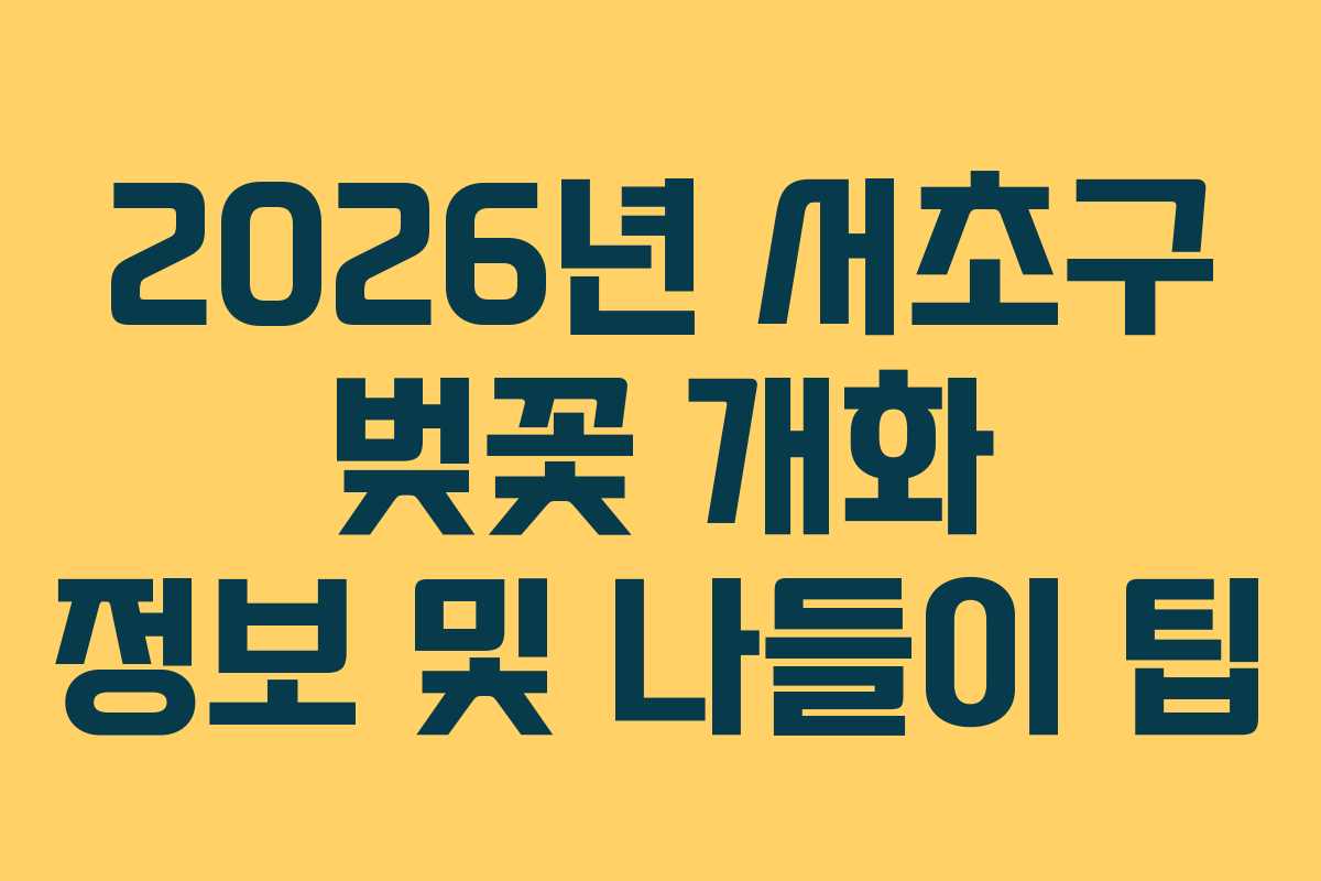 2026년 서초구 벚꽃 개화 정보 및 나들이 팁