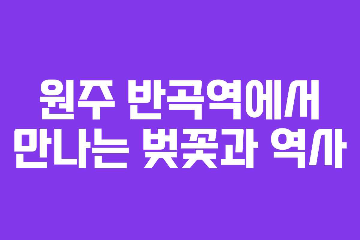 원주 반곡역에서 만나는 벚꽃과 역사