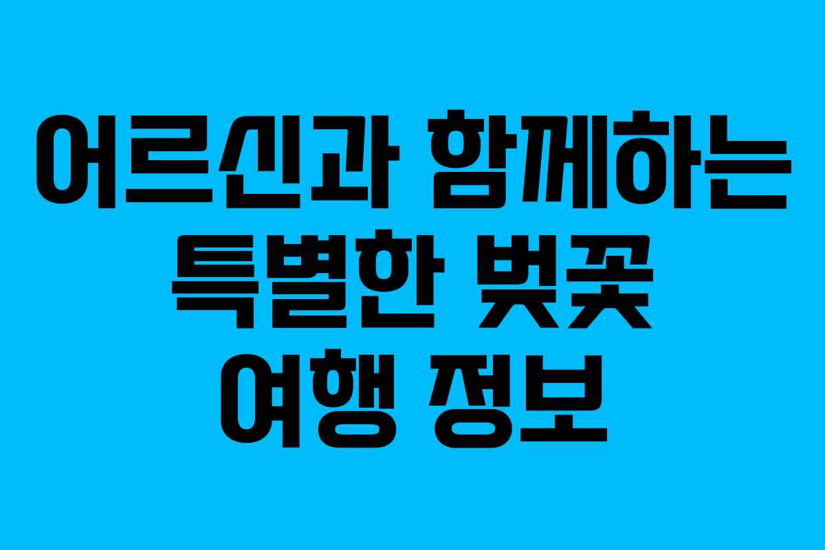어르신과 함께하는 특별한 벚꽃 여행 정보