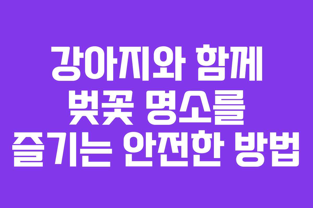 강아지와 함께 벚꽃 명소를 즐기는 안전한 방법