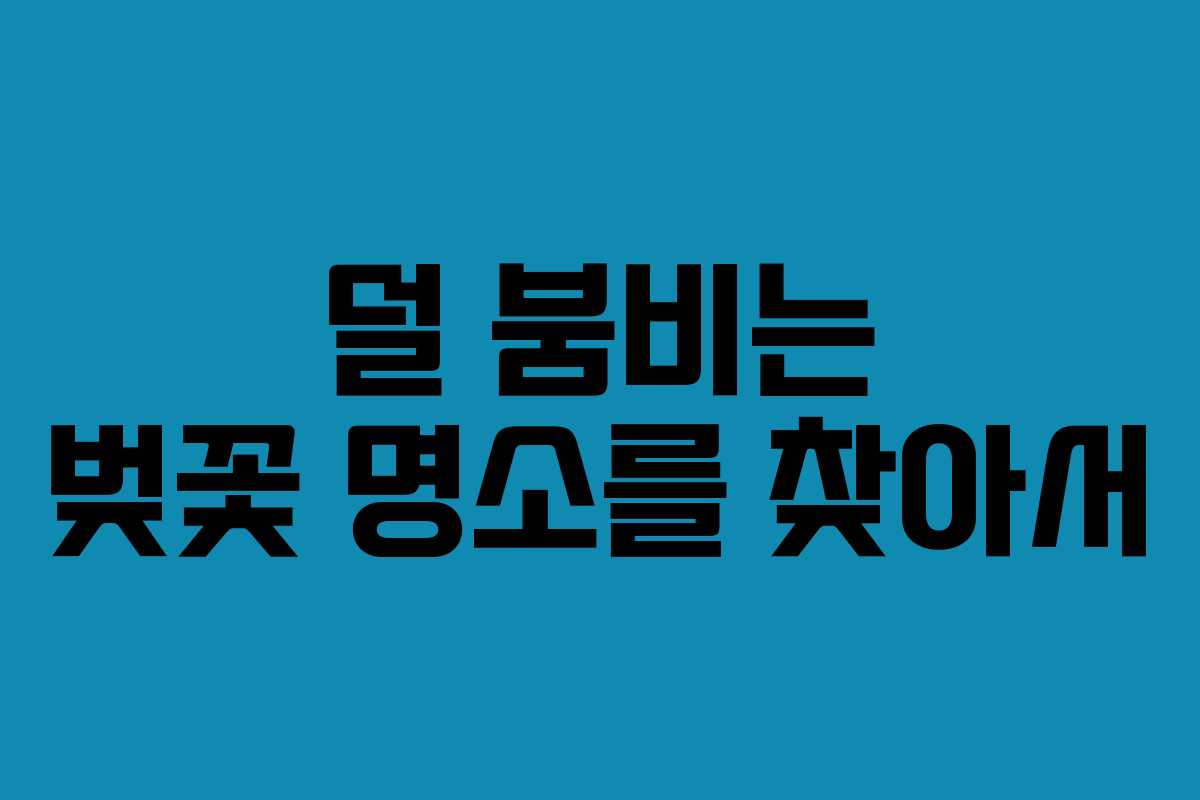 덜 붐비는 벚꽃 명소를 찾아서