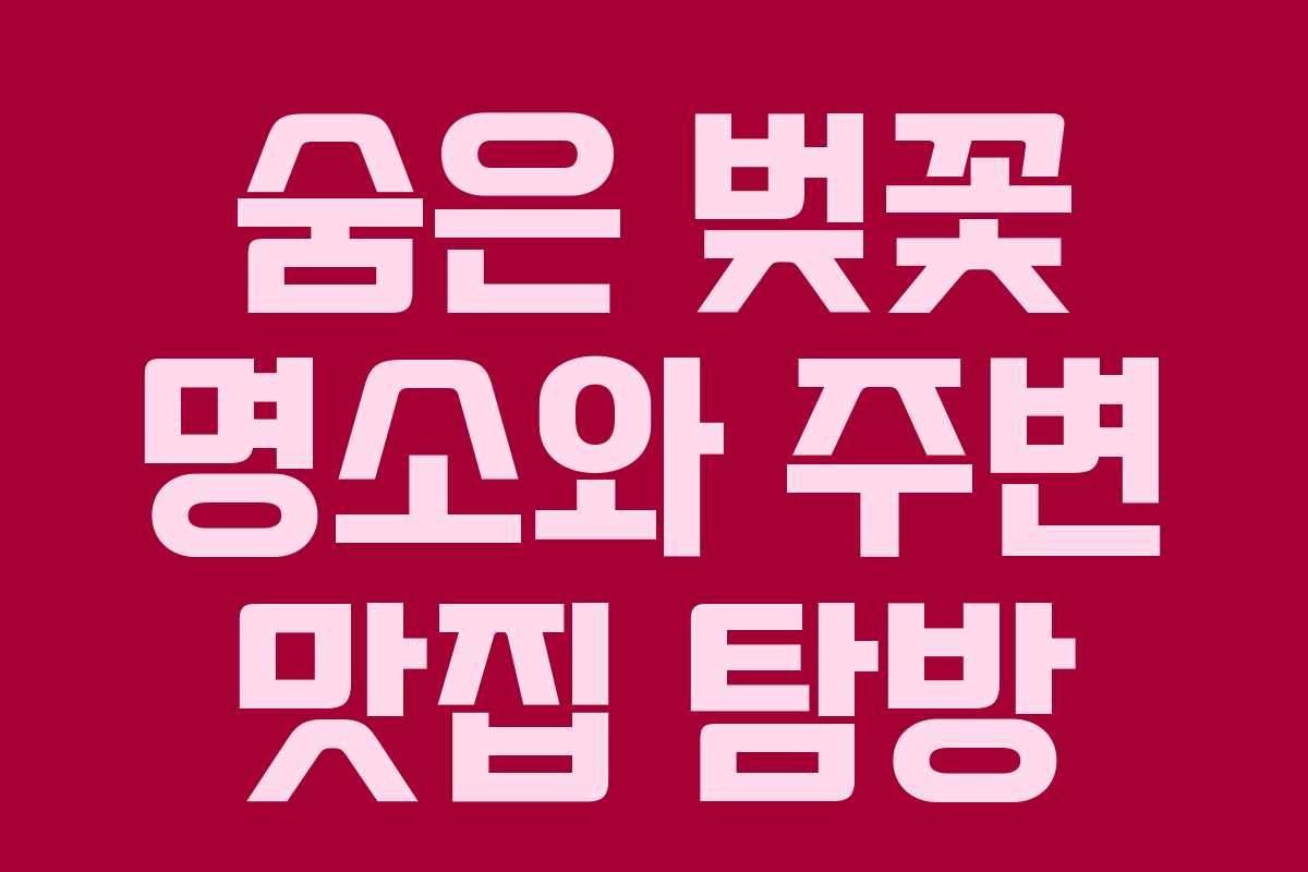 숨은 벚꽃 명소와 주변 맛집 탐방