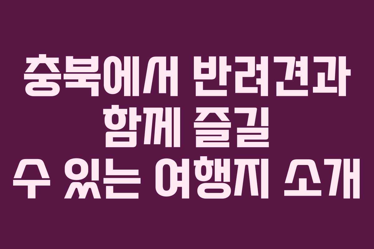 충북에서 반려견과 함께 즐길 수 있는 여행지 소개
