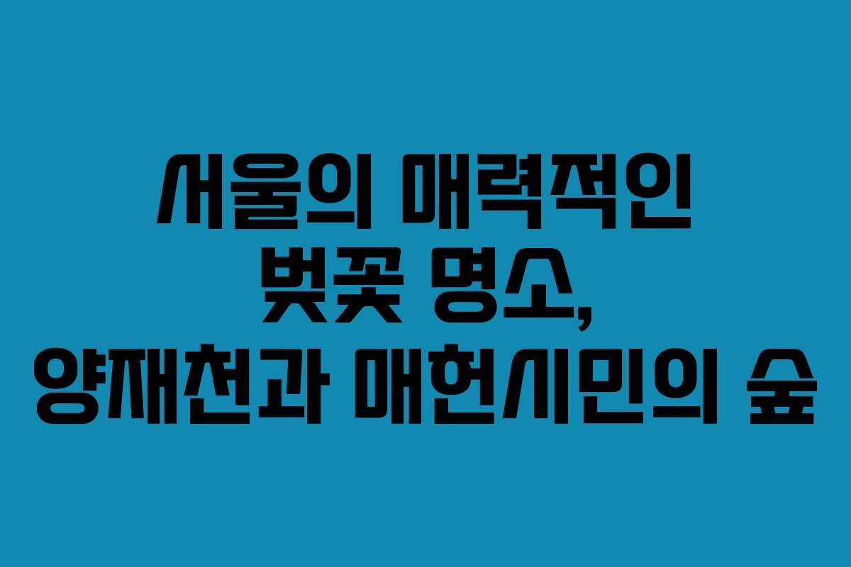 서울의 매력적인 벚꽃 명소, 양재천과 매헌시민의 숲