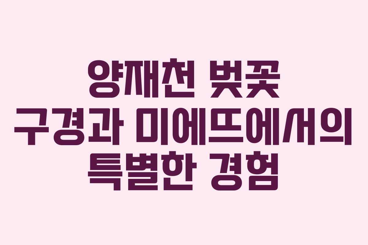양재천 벚꽃 구경과 미에뜨에서의 특별한 경험