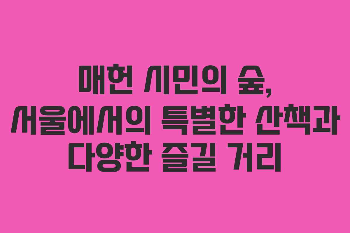 매헌 시민의 숲, 서울에서의 특별한 산책과 다양한 즐길 거리