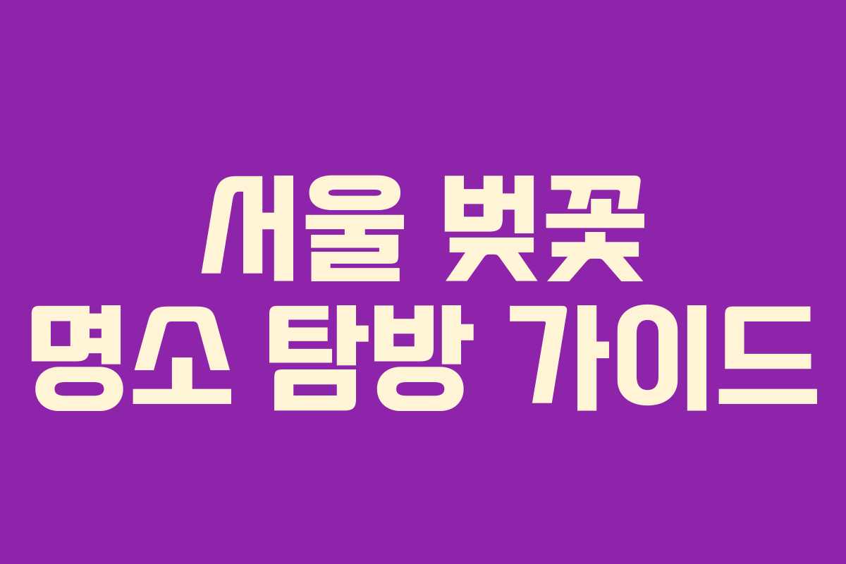 서울 벚꽃 명소 탐방 가이드