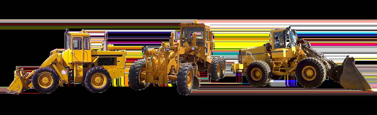 부산 경륜장에서 즐기는 여유로운 여름의 하루