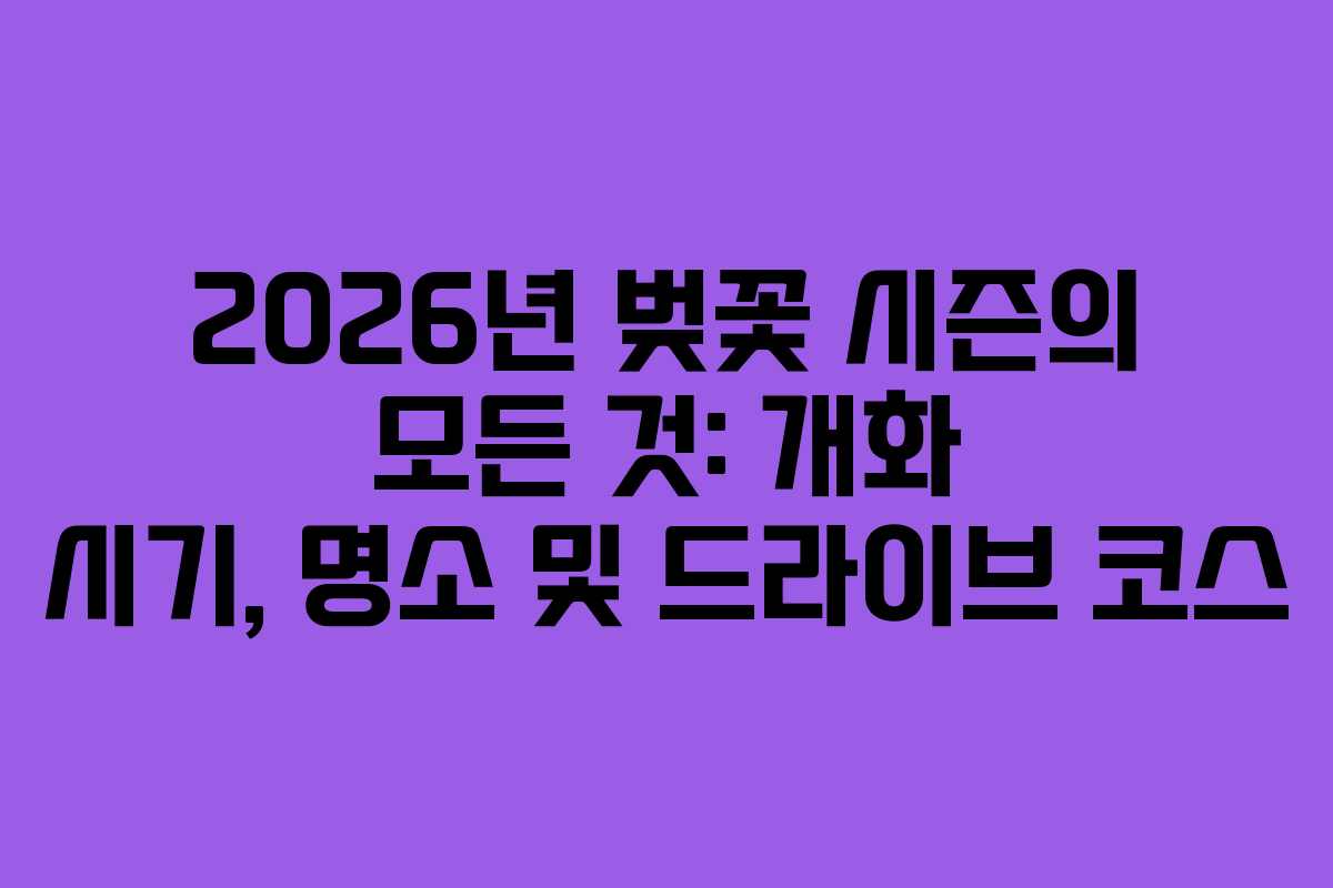 2026년 벚꽃 시즌의 모든 것: 개화 시기, 명소 및 드라이브 코스