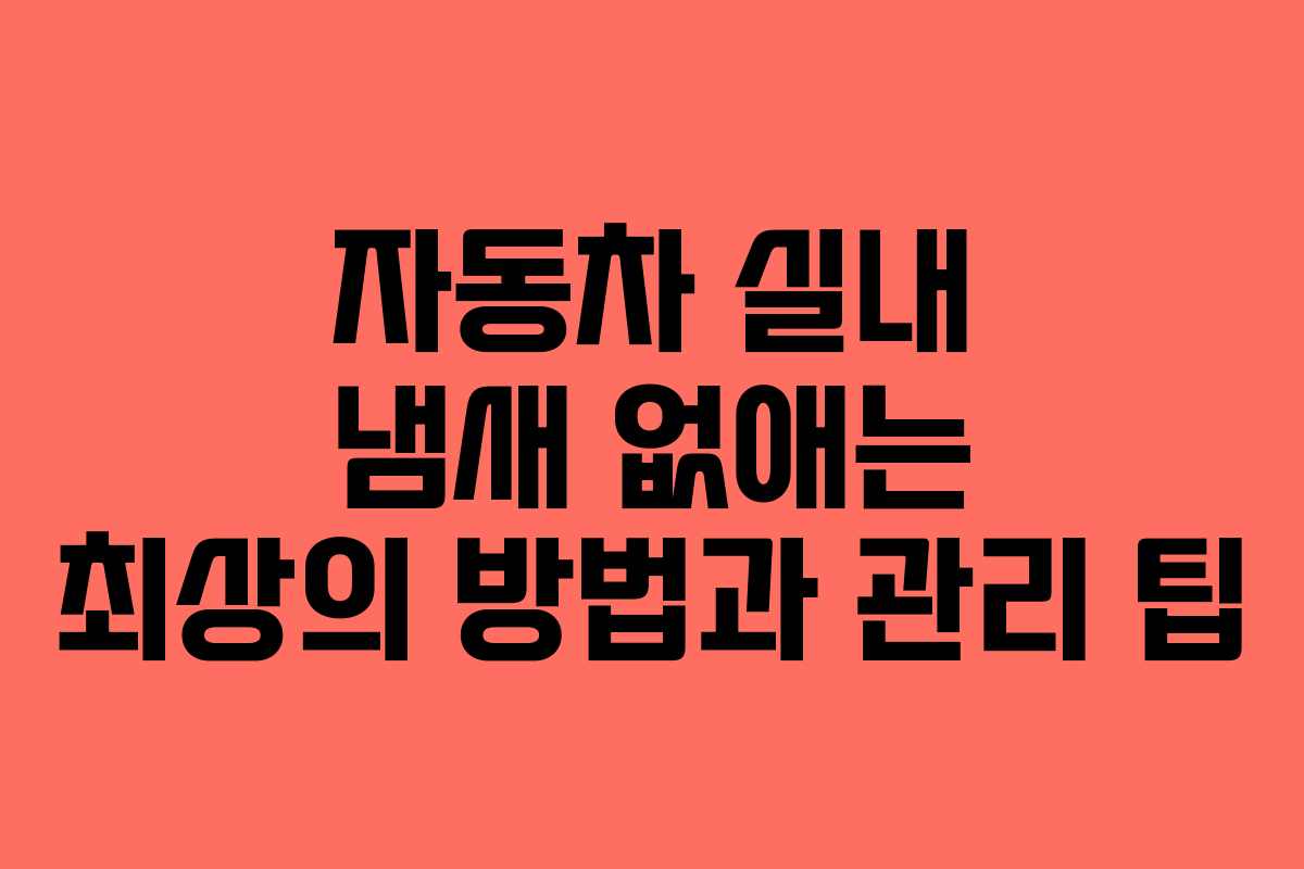 자동차 실내 냄새 없애는 최상의 방법과 관리 팁