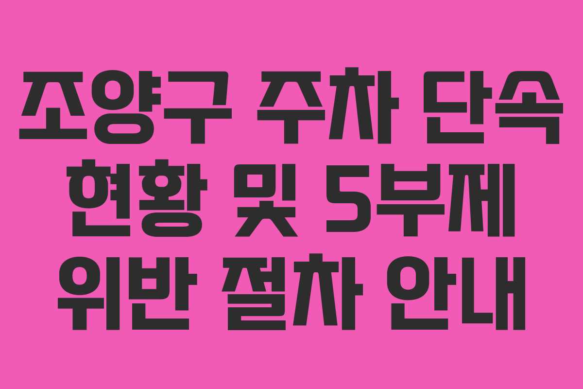 조양구 주차 단속 현황 및 5부제 위반 절차 안내