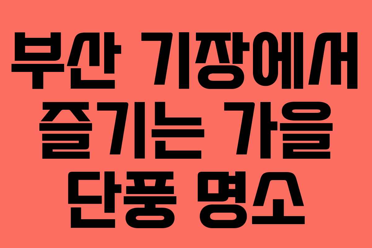 부산 기장에서 즐기는 가을 단풍 명소