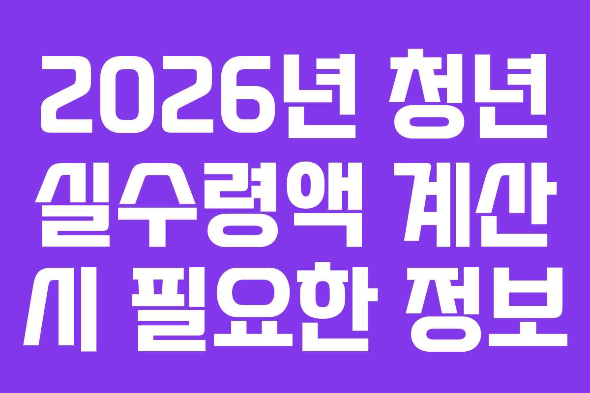 2026년 청년 실수령액 계산 시 필요한 정보