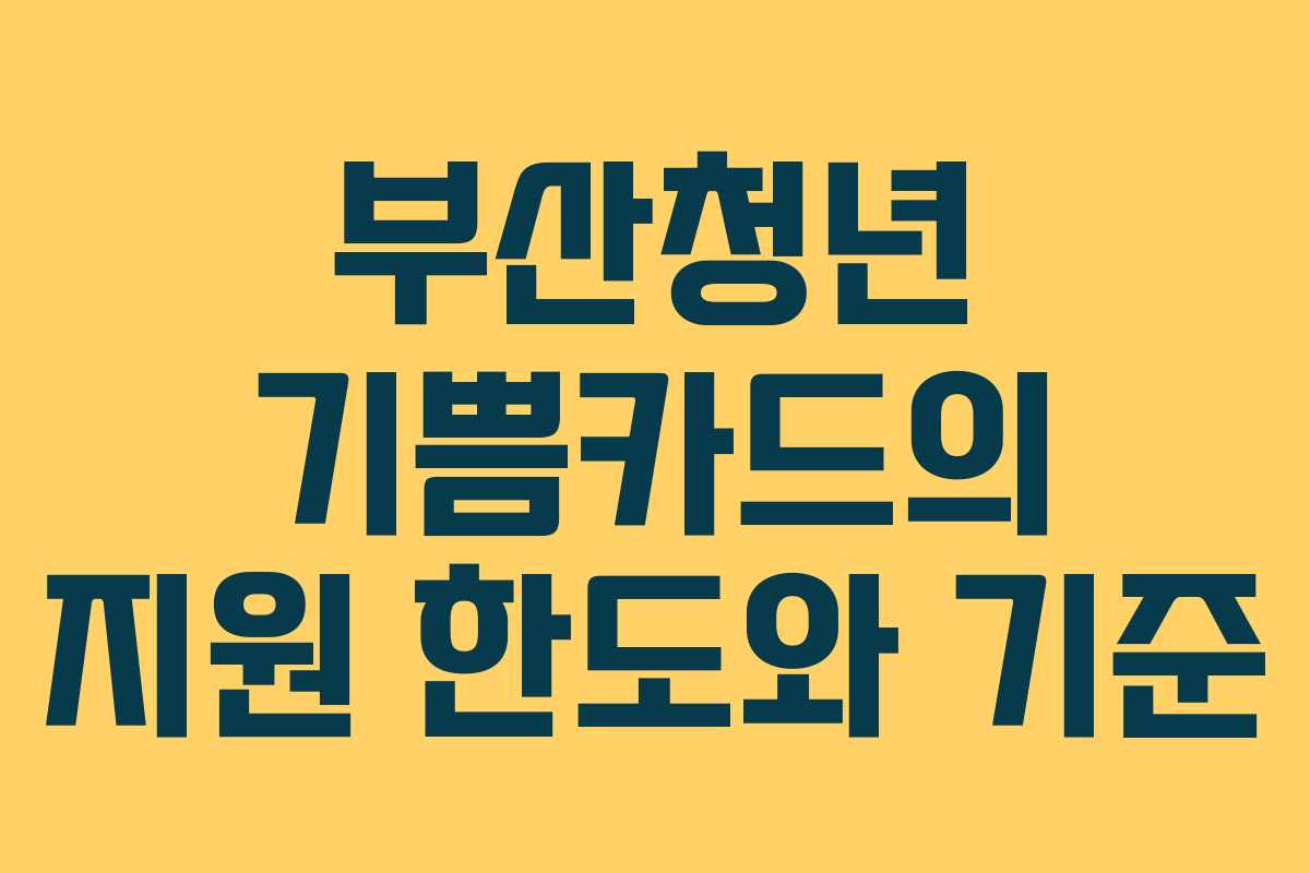 부산청년 기쁨카드의 지원 한도와 기준