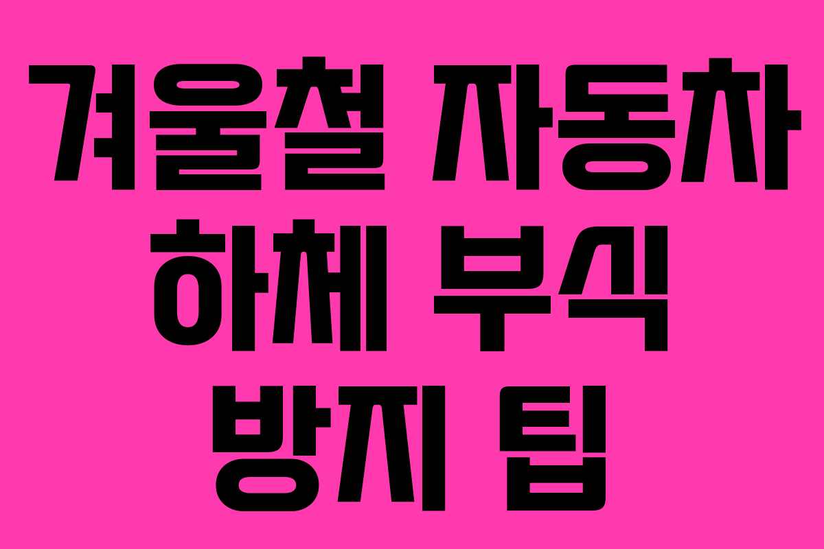 겨울철 자동차 하체 부식 방지 팁