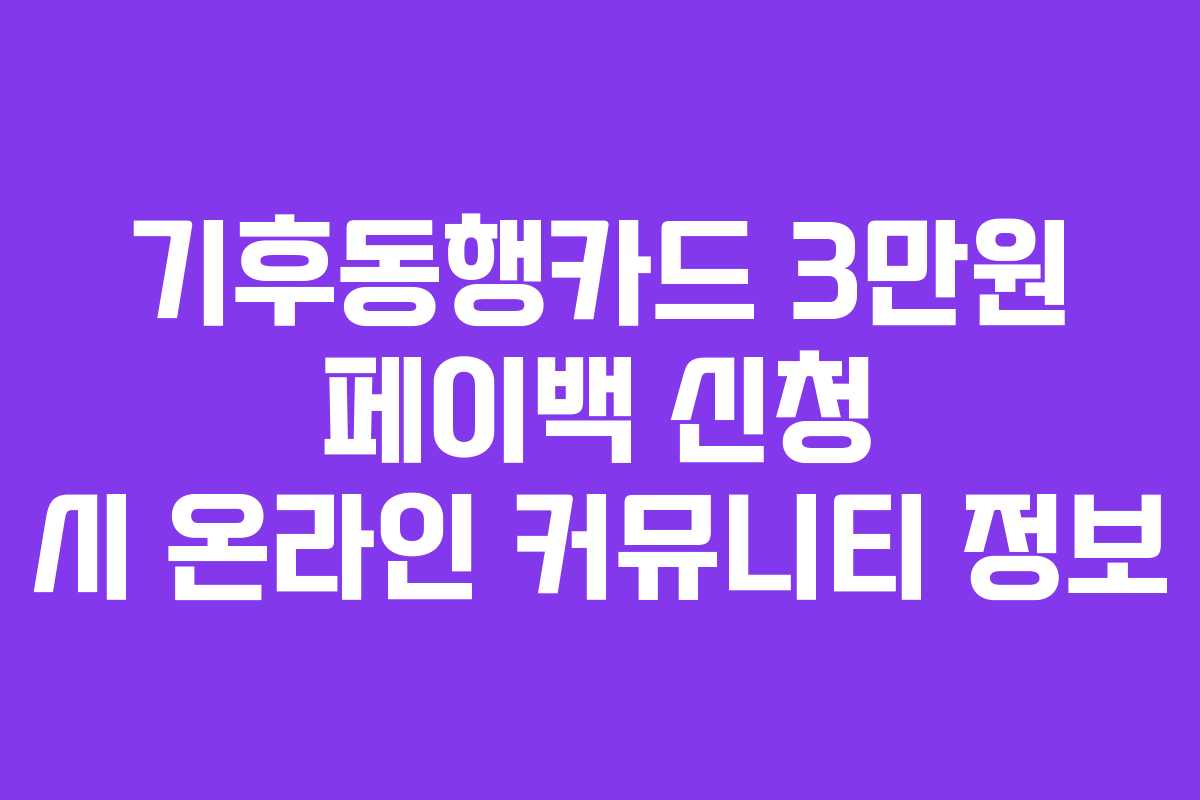 기후동행카드 3만원 페이백 신청 시 온라인 커뮤니티 정보