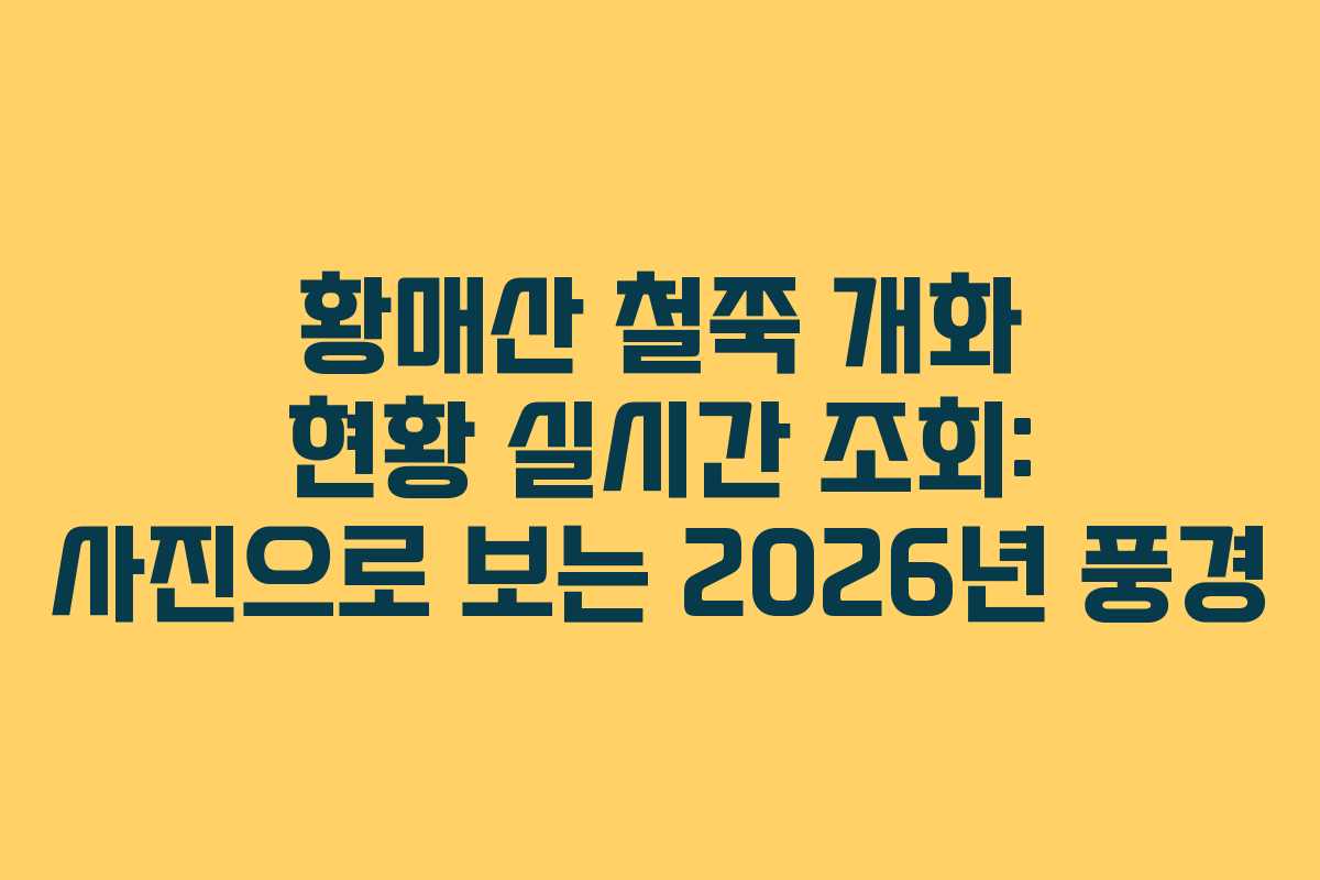 황매산 철쭉 개화 현황 실시간 조회: 사진으로 보는 2026년 풍경