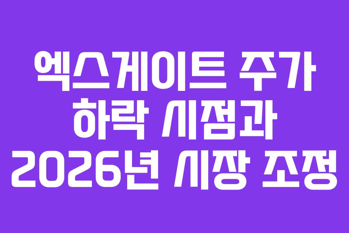 엑스게이트 주가 하락 시점과 2026년 시장 조정