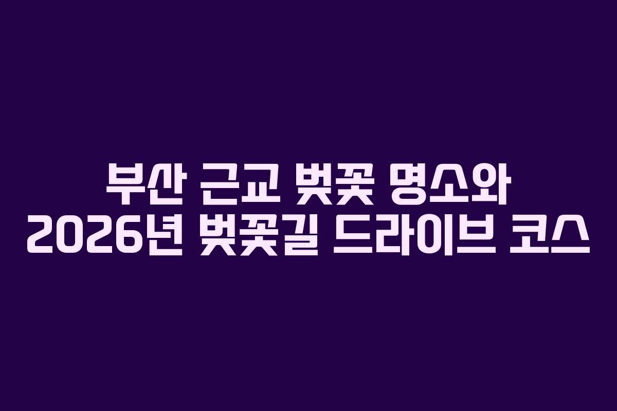 부산 근교 벚꽃 명소와 2026년 벚꽃길 드라이브 코스