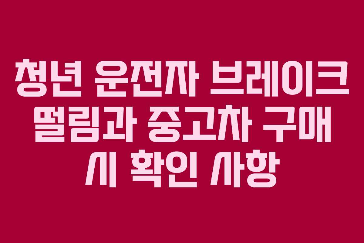 청년 운전자 브레이크 떨림과 중고차 구매 시 확인 사항