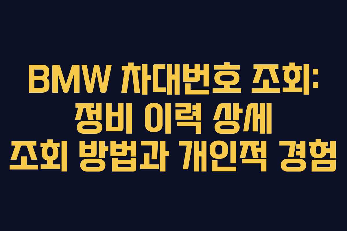 BMW 차대번호 조회: 정비 이력 상세 조회 방법과 개인적 경험