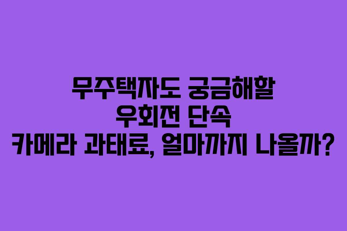 무주택자도 궁금해할 우회전 단속 카메라 과태료, 얼마까지 나올까?