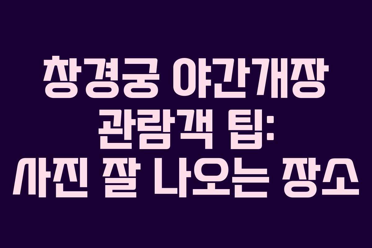 창경궁 야간개장 관람객 팁: 사진 잘 나오는 장소