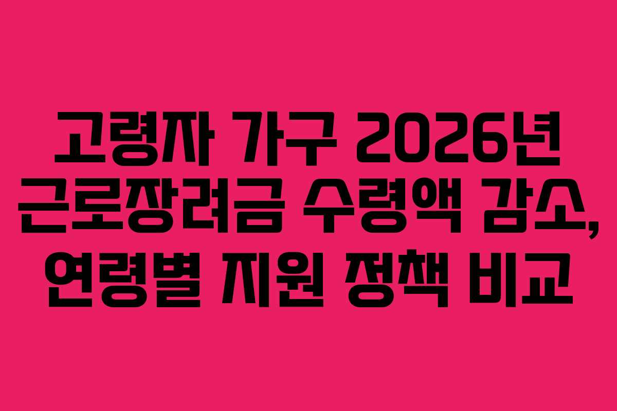 고령자 가구 2026년 근로장려금 수령액 감소, 연령별 지원 정책 비교