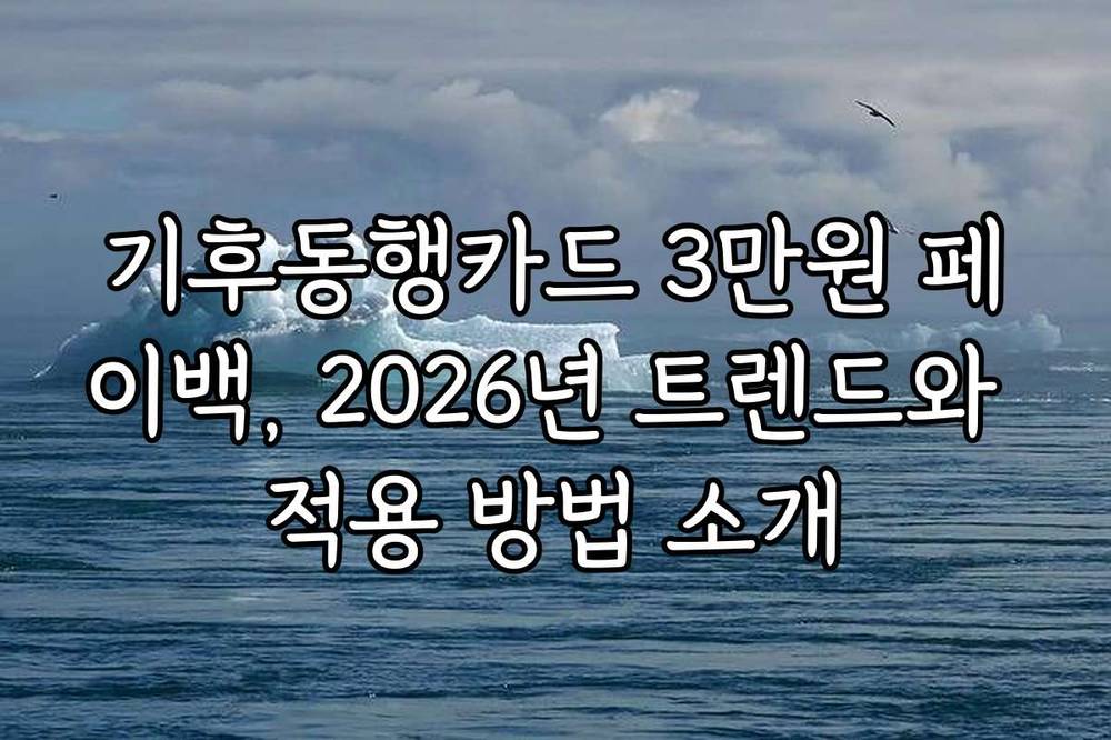 기후동행카드 3만원 페이백, 2026년 트렌드와 적용 방법 소개