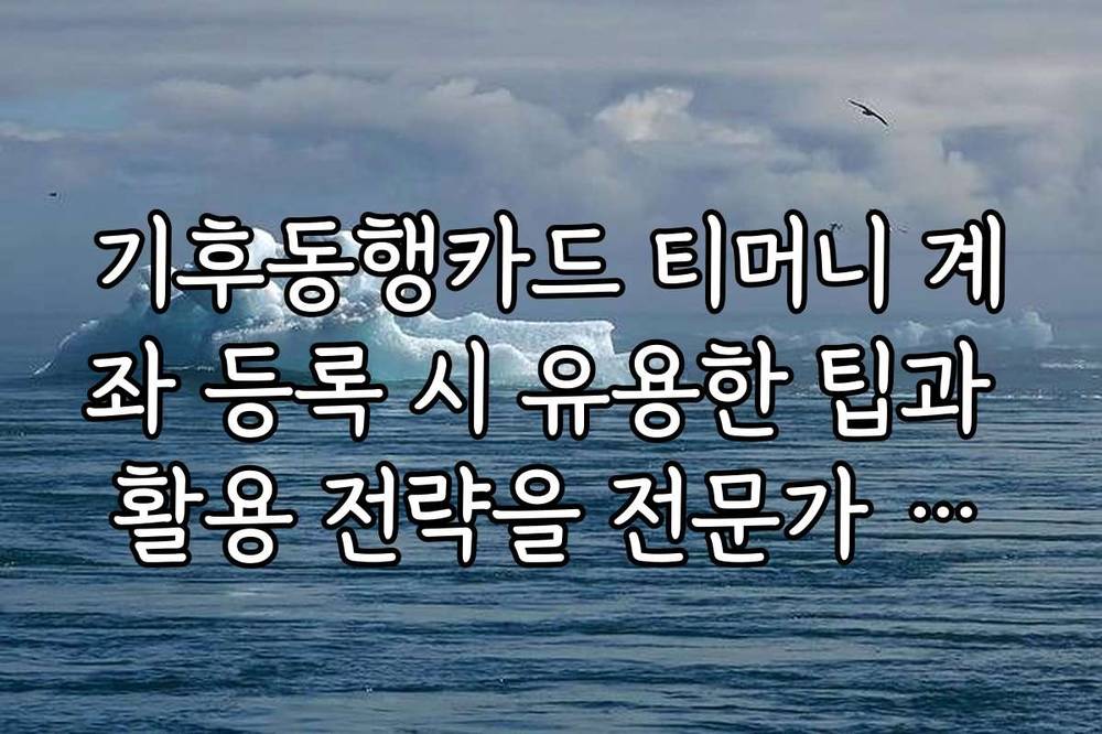 기후동행카드 티머니 계좌 등록 시 유용한 팁과 활용 전략을 전문가 관점에서 분석합니다
