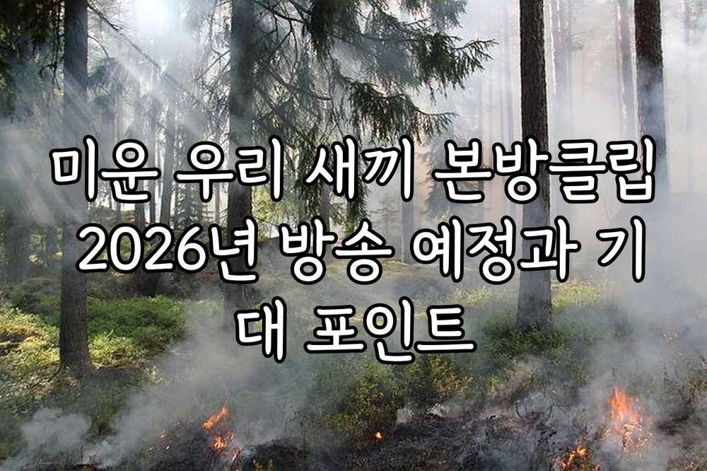 미운 우리 새끼 본방클립 2026년 방송 예정과 기대 포인트