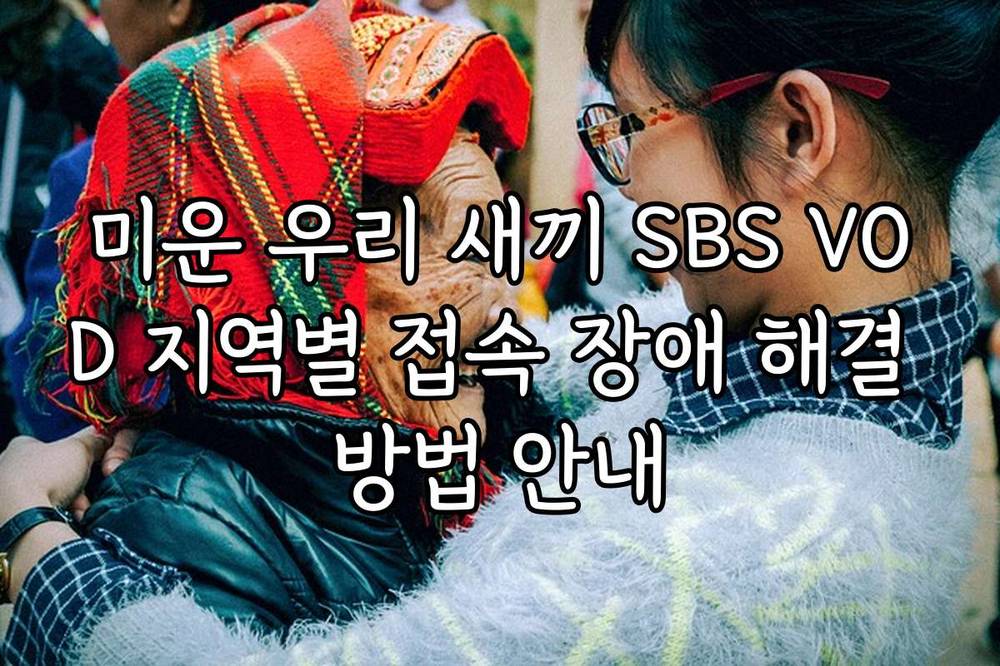 미운 우리 새끼 SBS VOD 지역별 접속 장애 해결 방법 안내