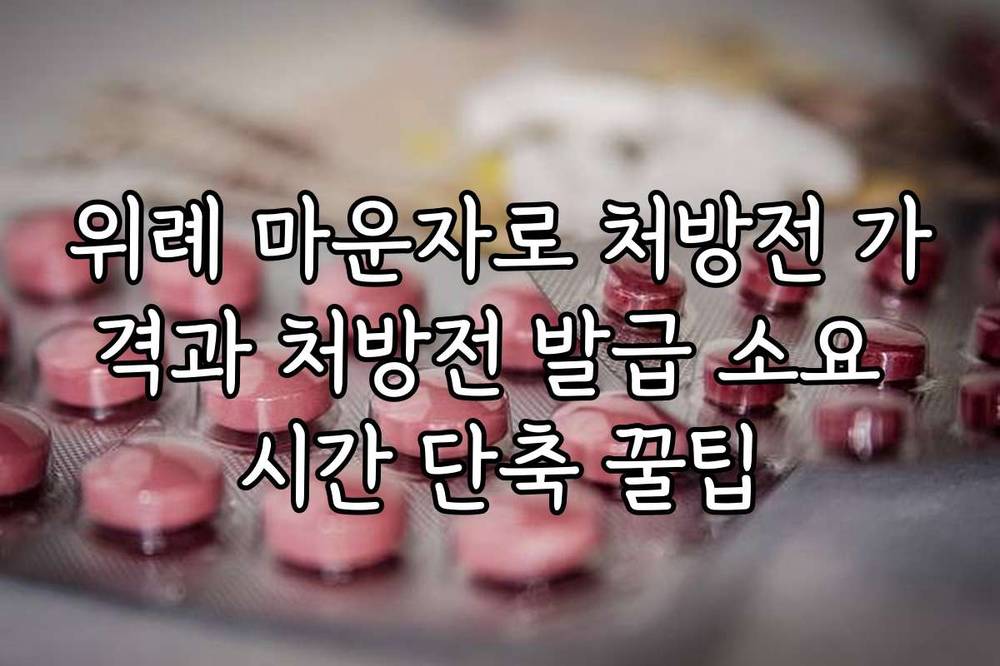 위례 마운자로 처방전 가격과 처방전 발급 소요 시간 단축 꿀팁