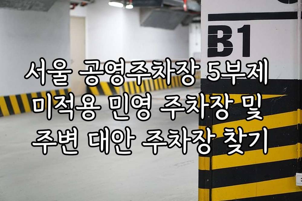서울 공영주차장 5부제 미적용 민영 주차장 및 주변 대안 주차장 찾기