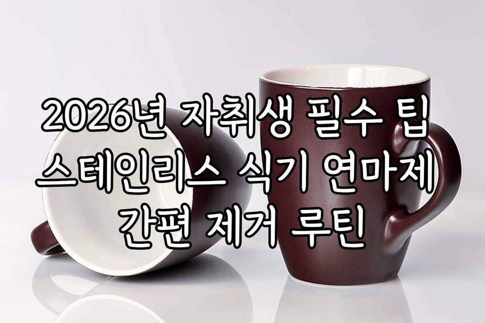 2026년 자취생 필수 팁 스테인리스 식기 연마제 간편 제거 루틴