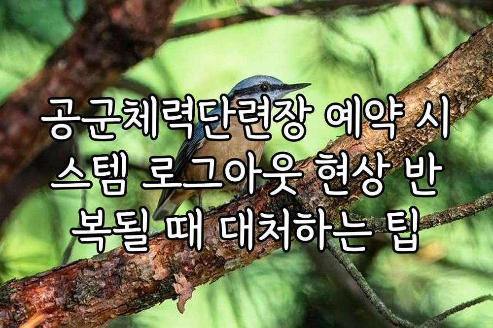공군체력단련장 예약 시스템 로그아웃 현상 반복될 때 대처하는 팁