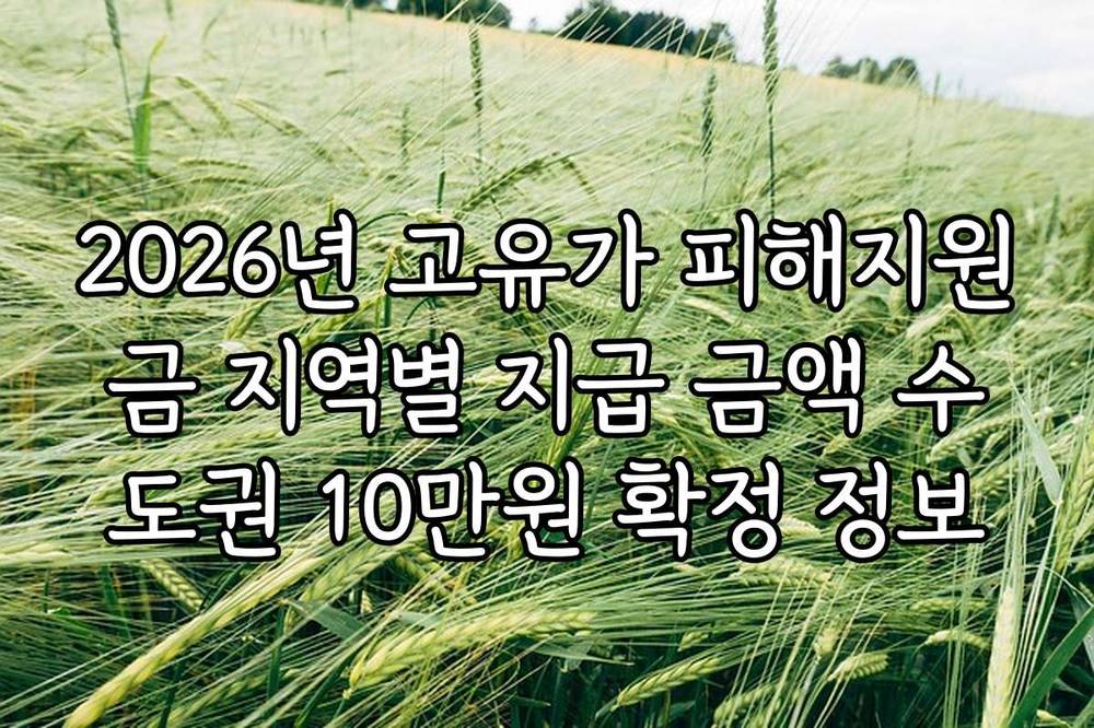 2026년 고유가 피해지원금 지역별 지급 금액 수도권 10만원 확정 정보