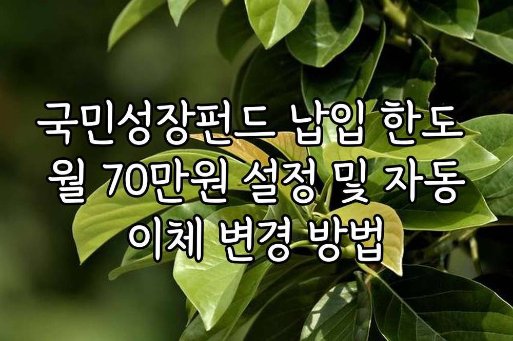 국민성장펀드 납입 한도 월 70만원 설정 및 자동이체 변경 방법