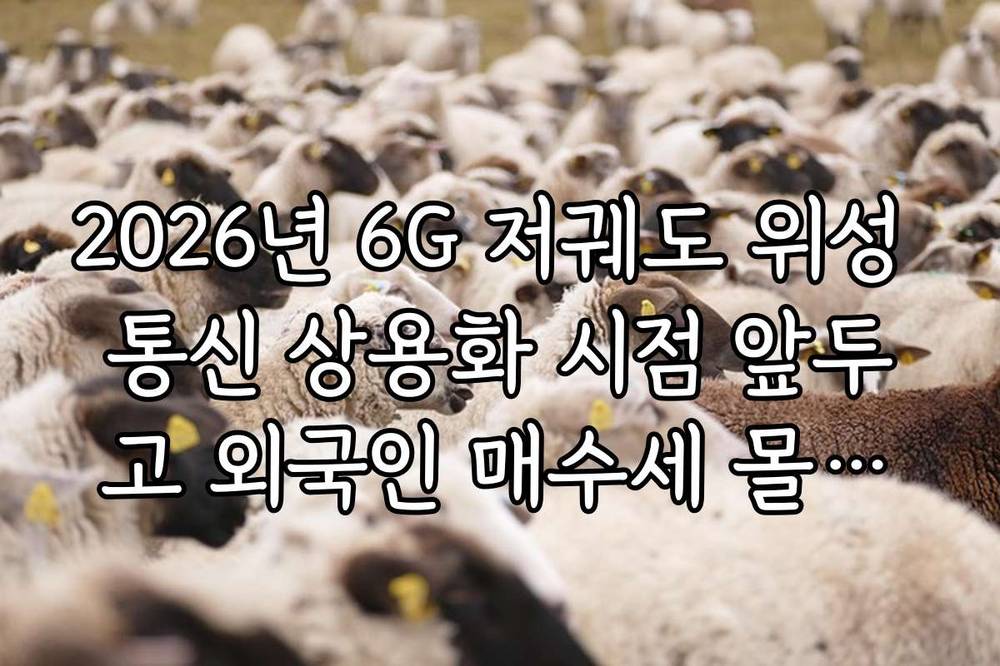 2026년 6G 저궤도 위성 통신 상용화 시점 앞두고 외국인 매수세 몰리는 주식
