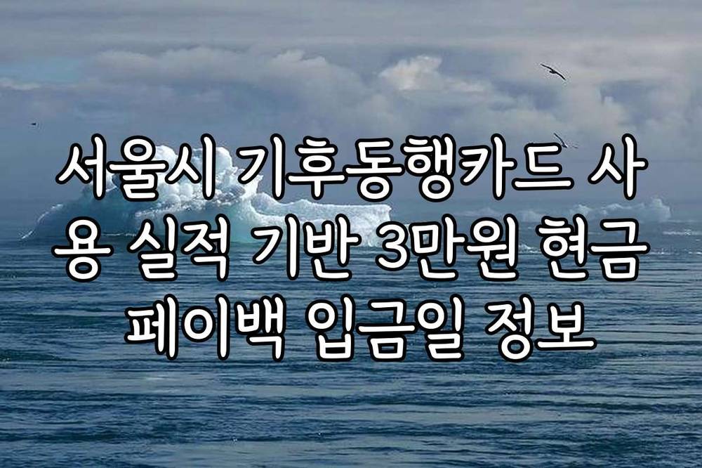 서울시 기후동행카드 사용 실적 기반 3만원 현금 페이백 입금일 정보