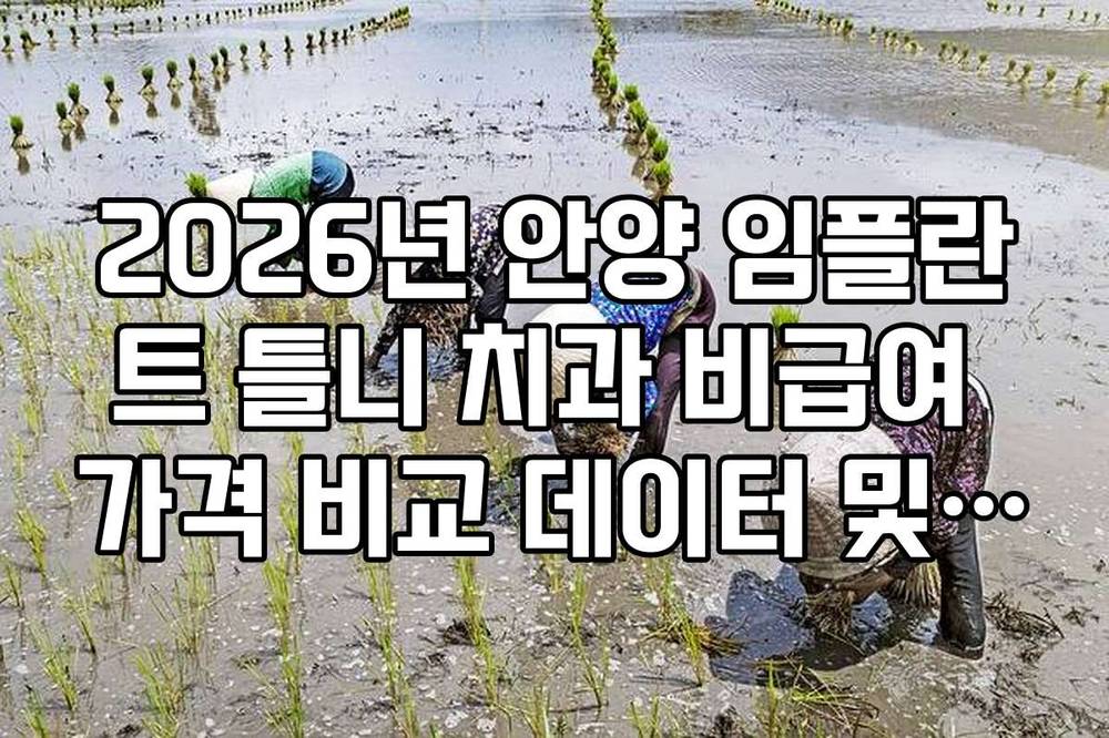 2026년 안양 임플란트 틀니 치과 비급여 가격 비교 데이터 및 병원 리스트