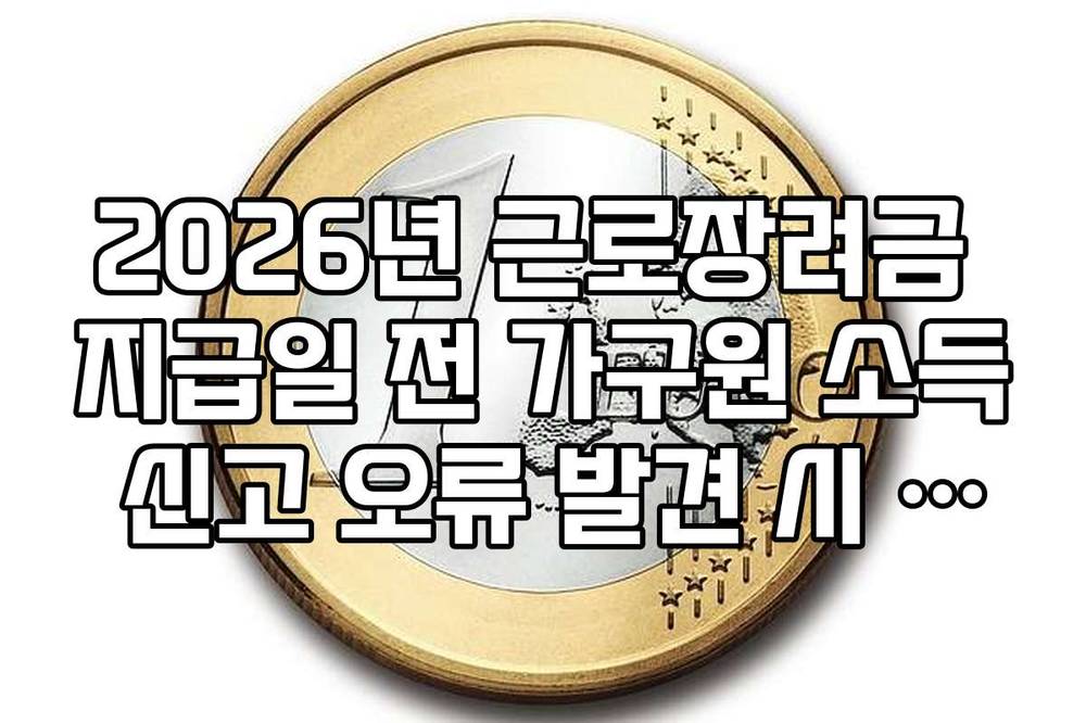 2026년 근로장려금 지급일 전 가구원 소득 신고 오류 발견 시 수정