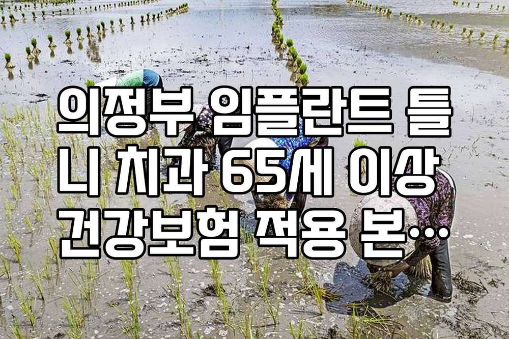 의정부 임플란트 틀니 치과 65세 이상 건강보험 적용 본인부담금 확인