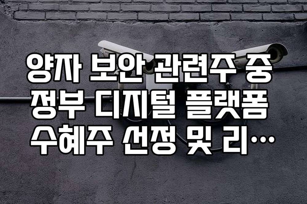 양자 보안 관련주 중 정부 디지털 플랫폼 수혜주 선정 및 리스크 관리