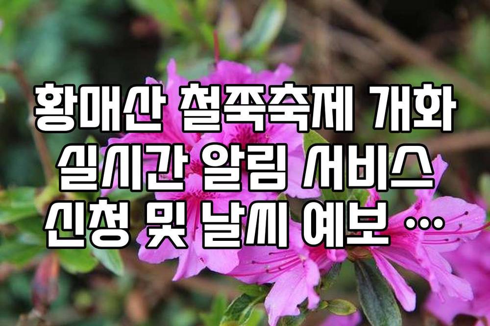 황매산 철쭉축제 개화 실시간 알림 서비스 신청 및 날씨 예보 확인법