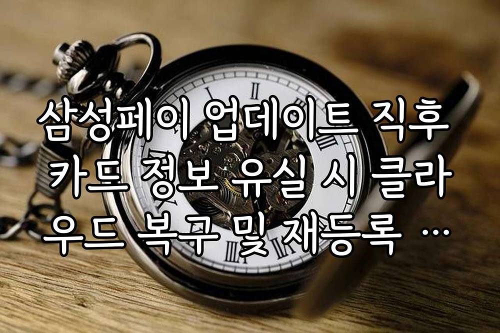 삼성페이 업데이트 직후 카드 정보 유실 시 클라우드 복구 및 재등록 절차