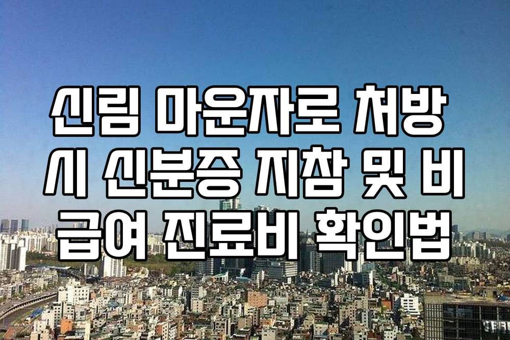 신림 마운자로 처방 시 신분증 지참 및 비급여 진료비 확인법