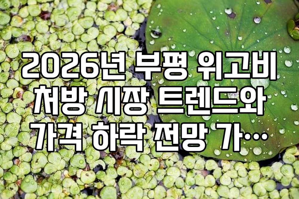 2026년 부평 위고비 처방 시장 트렌드와 가격 하락 전망 가이드