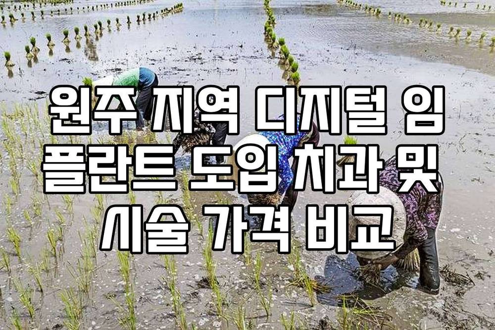 원주 지역 디지털 임플란트 도입 치과 및 시술 가격 비교