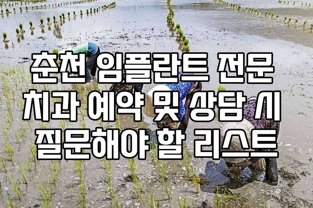 춘천 임플란트 전문 치과 예약 및 상담 시 질문해야 할 리스트